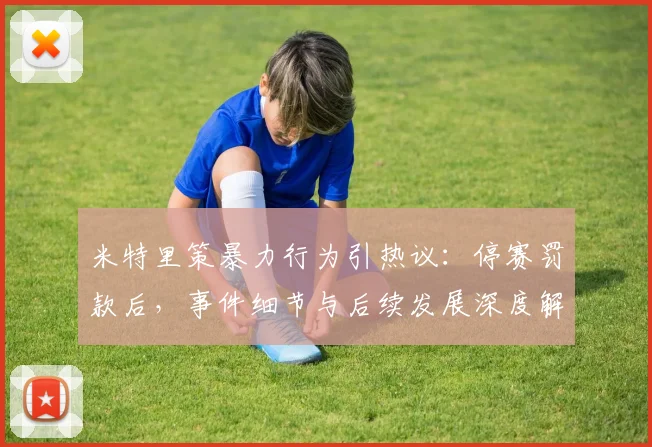 米特里策暴力行为引热议：停赛罚款后，事件细节与后续发展深度解析